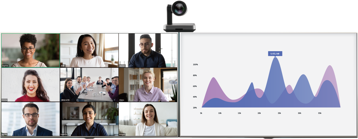 MeetingEye 800會議界面